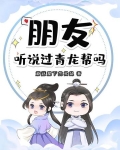 朋友，听说过青龙帮吗？