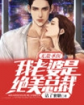 无敌圣医：我老婆是绝美总裁