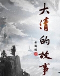大清的故事