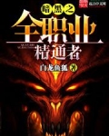 暗黑之全职业精通者