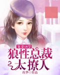宠妻18岁：狼性总裁太撩人