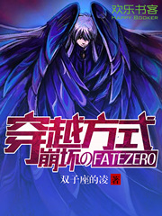 穿越方式崩坏的FATE/ZERO