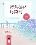 待到橙林尽染时