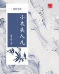 小木头人儿（精品公版）