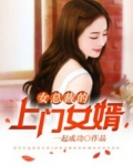 女总裁的上门女婿（又名：王婿、医婿）