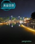 失业经历