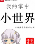 我的掌中小世界