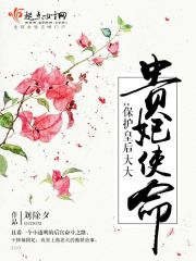 贵妃使命:保护皇后大大