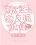 穿成男主的反派姐姐
