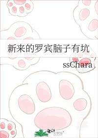 新来的罗宾脑子有坑